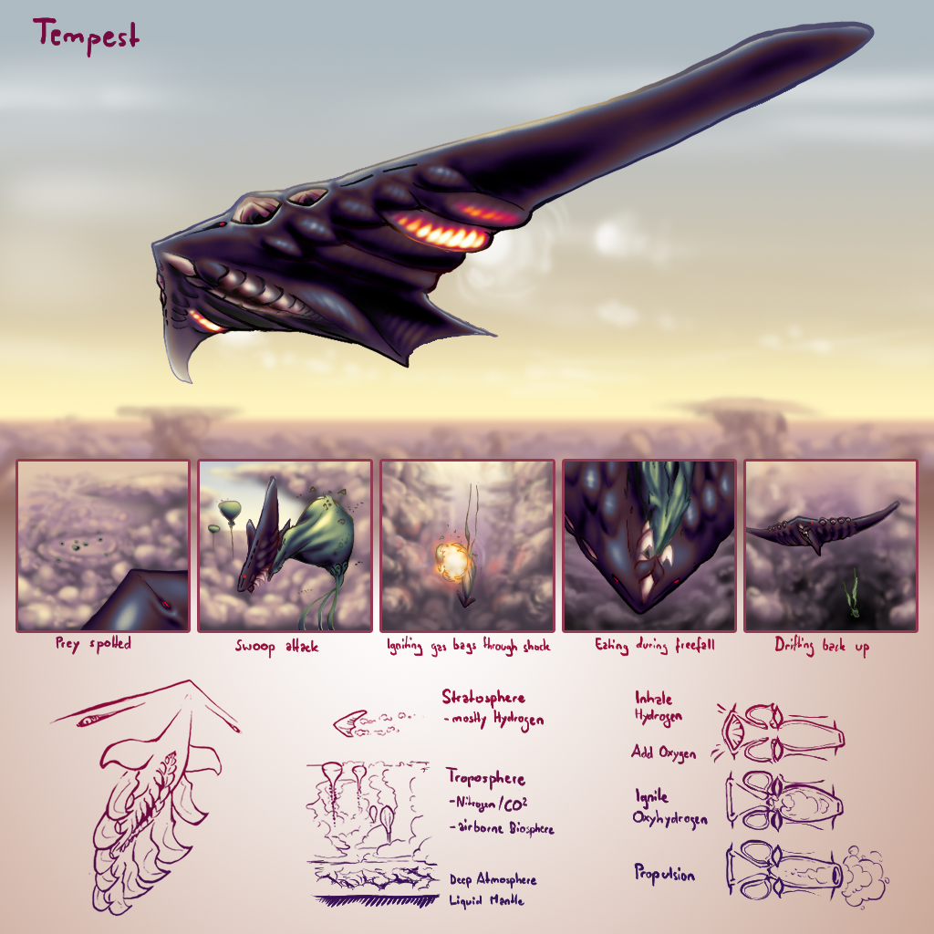 Tempest - an alien apex predator of gas clouds ecosystem